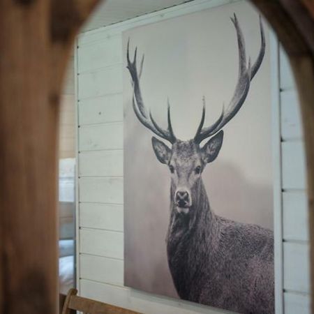 Chalet Le Grand Cerf Bullange Exteriér fotografie
