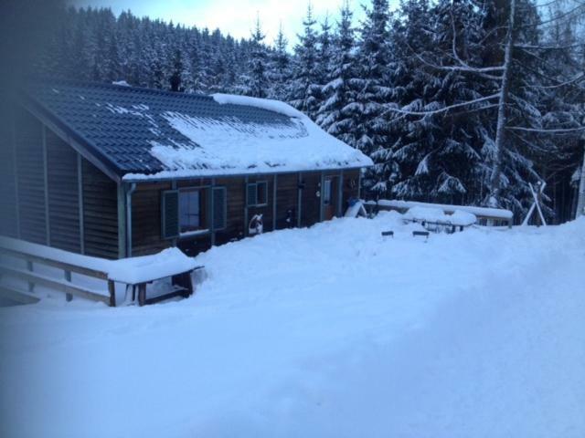 Chalet Le Grand Cerf Bullange Exteriér fotografie